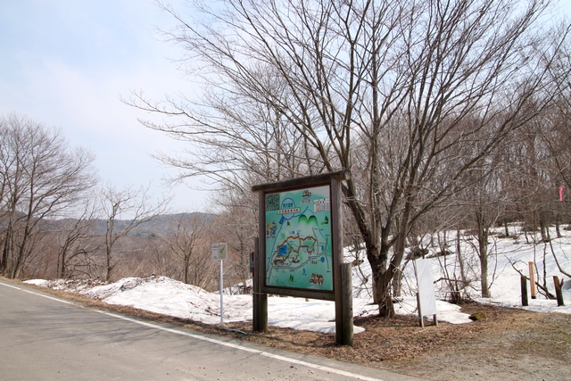 荒沢のミズバショウ・宮城県加美郡加美町・画像・与平
