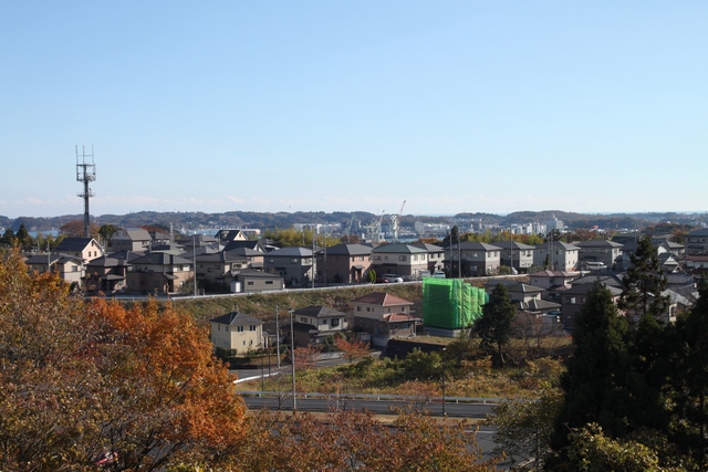 千賀の台1号公園のイチョウの紅葉・宮城県塩竈市千賀の台1丁目・画像