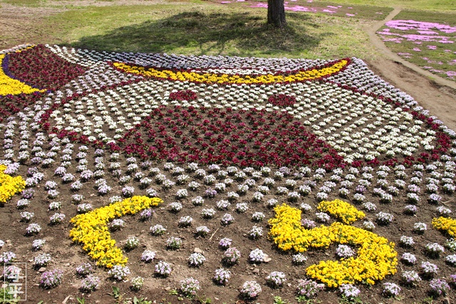 やくらいガーデン・シバザクラ・ビオラ・チューリップ・むすび丸花壇・宮城県・加美町・画像・仙台人が仙台観光をしてるブログ・与平