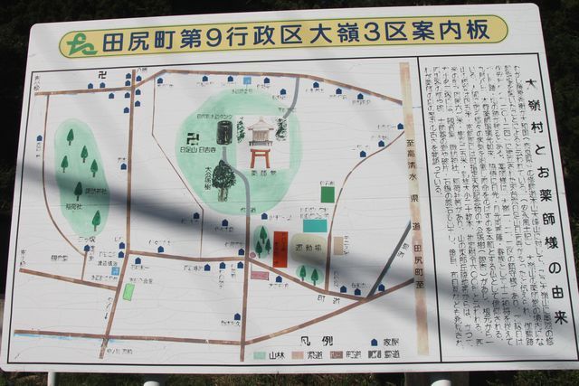 11 80 薬師の乳イチョウ、薬師堂、宮城県大崎市田尻大嶺、画像.jpg