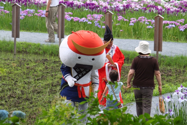 多賀城あやめ園・2010・アヤメの画像