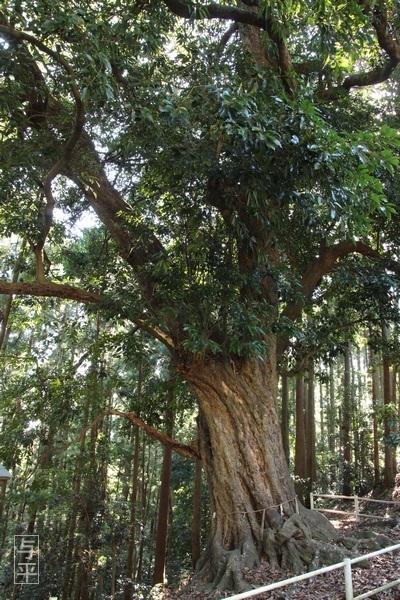 14 96 鹿島天足別神社(大亀明神)、亀石、宮城県大郷町、大亀山森林公園、画像.jpg