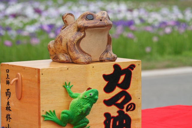多賀城あやめ園・2010・アヤメの画像