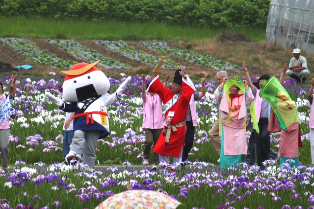 多賀城あやめ園・2010・アヤメの画像