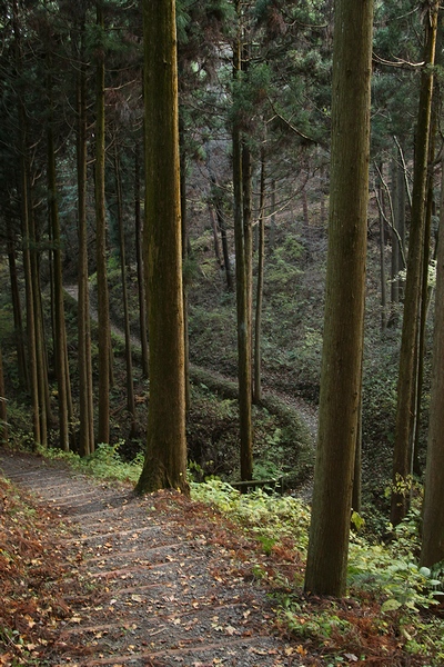 伊保石公園市民の森・宮城県塩竈市伊保石・画像