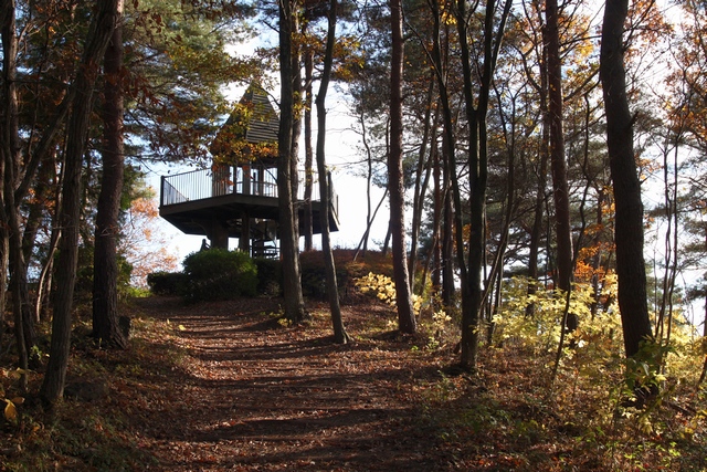 伊保石公園市民の森・宮城県塩竈市伊保石・画像