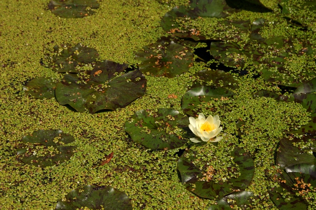 称名寺・宮城県亘理郡亘理町・画像