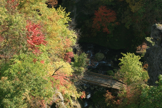 naru2008 01 03.jpg