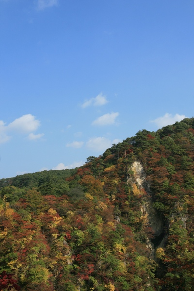 naru2008 01 05.jpg