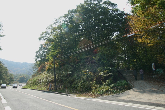 naru2008 02 01.jpg