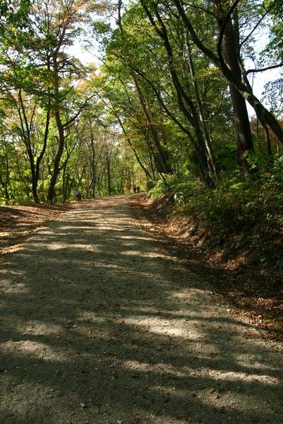 naru2008 02 02.jpg