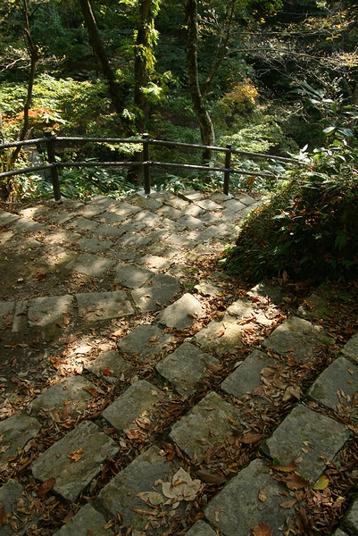 naru2008 02 03.jpg