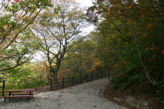 naru2008 02 06.jpg