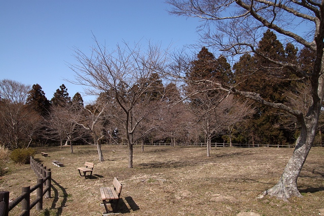 鶴ヶ城(松森城)・宮城県仙台市泉区松森・画像01