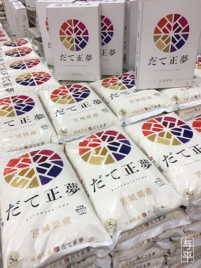 01 80 だて正夢.jpg