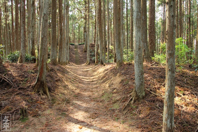 念南寺古墳群・宮城県加美郡色麻町・画像・仙台人が仙台観光をしてるブログ・与平