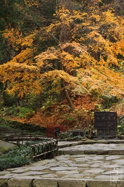 瑞鳳殿・紅葉・宮城県仙台市・伊達政宗公・画像・仙台人が仙台観光をしてるブログ・与平・http://senndai-tabi.seesaa.net/・jpg