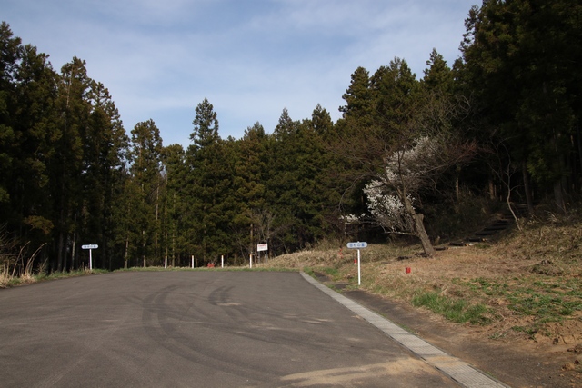 片倉喜多子の墓・田村清顕の墓・宮城県白石市・画像