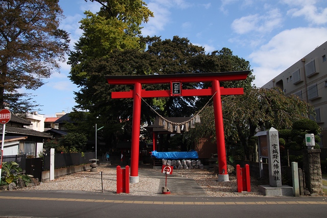 宮城野八幡神社・宮城県仙台市宮城野区銀杏町・画像2拝殿