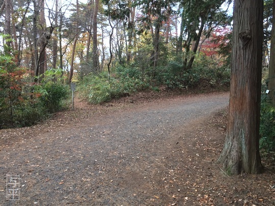02 94 湧き水、台原森林公園、宮城県仙台市、画像.jpg