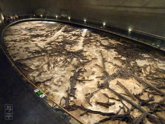 02 96 地底の森ミュージアム、富沢遺跡、宮城県仙台市、画像.jpg