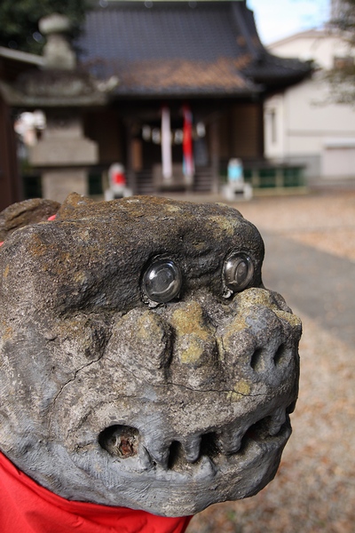 宮城野八幡神社・宮城県仙台市宮城野区銀杏町・画像3狛犬