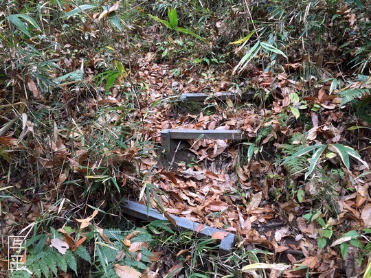 03 94 湧き水、台原森林公園、宮城県仙台市、画像.jpg