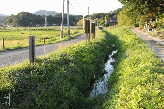 上川名ホタル観賞会、宮城県・柴田町、ゲンジボタル、画像、仙台人が仙台観光をしてるブログ、与平
