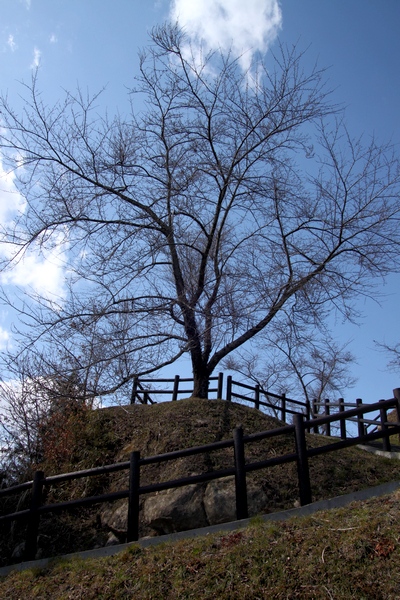 鶴ヶ城(松森城)・宮城県仙台市泉区松森・画像05