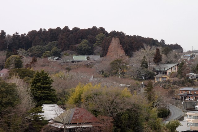 壱番館・塩釜港・鹽竈神社・塩竈市・宮城県・画像・仙台人・与平・jpg