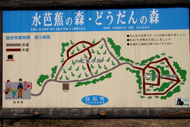 水芭蕉の森・宮城県白石市・画像05ミズバショウの森とどうだんの森の園内地図