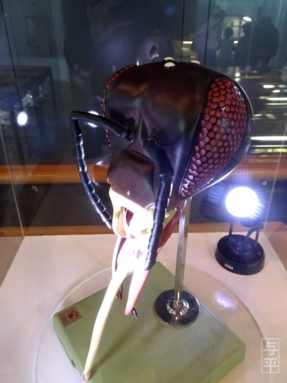 05 96 仙台市科学館、東北文化の日、宮城県仙台市、画像.jpg