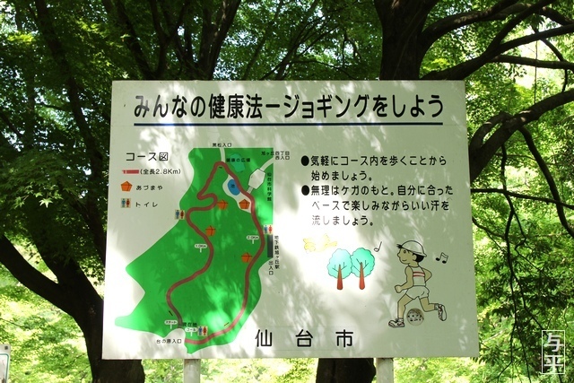 05 96 台原森林公園、宮城県仙台市.jpg