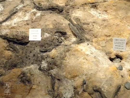 05 96 地底の森ミュージアム、富沢遺跡、宮城県仙台市、画像.jpg