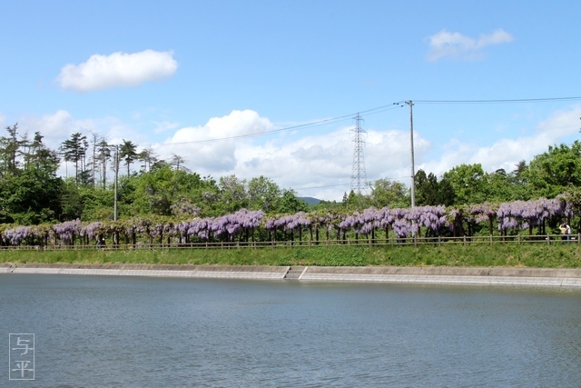06.jpg