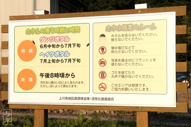 上川名ホタル観賞会、宮城県・柴田町、ゲンジボタル、画像、仙台人が仙台観光をしてるブログ、与平