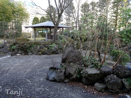 07 94 仙台かえりびな、仙台市福祉プラザ、宮城県仙台市、画像、Tanji.jpg