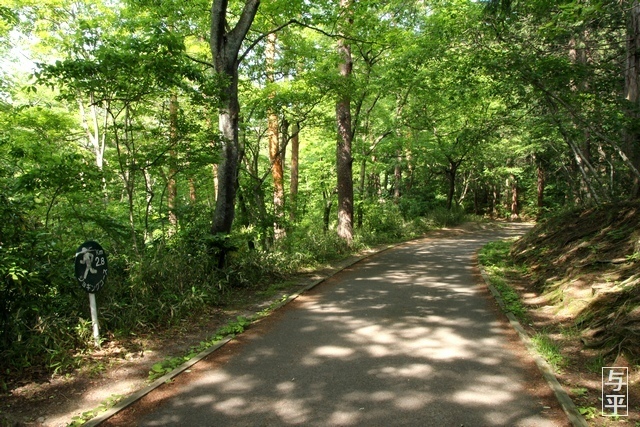 07 96 台原森林公園、宮城県仙台市.jpg