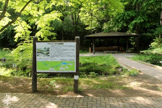 08 96 台原森林公園、宮城県仙台市.jpg