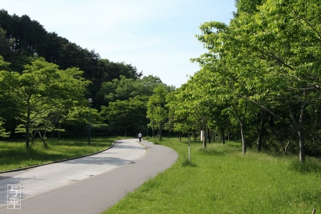 11 96 台原森林公園、宮城県仙台市.jpg