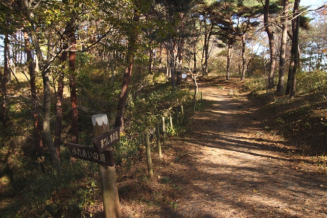 伊保石公園市民の森・宮城県塩竈市伊保石・画像