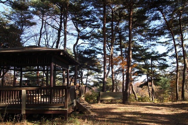伊保石公園市民の森・宮城県塩竈市伊保石・画像