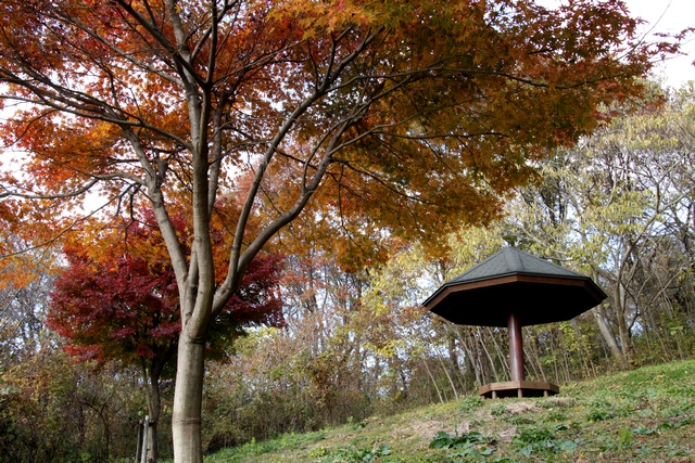 伊保石公園市民の森・宮城県塩竈市伊保石・画像