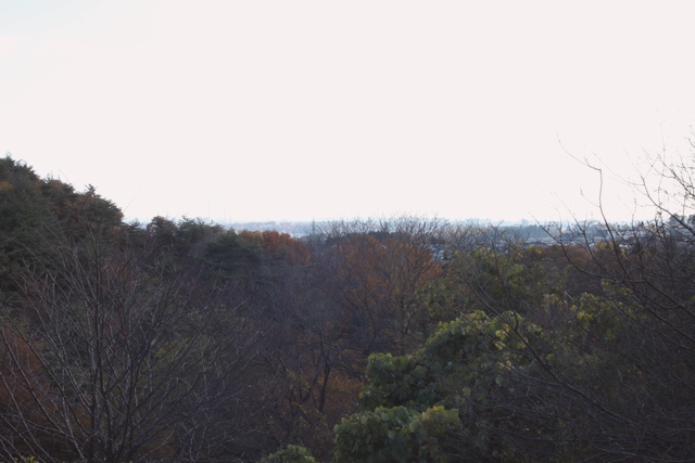 伊保石公園市民の森・宮城県塩竈市伊保石・画像