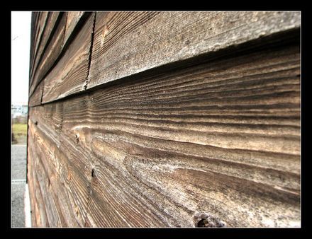20070113 03.jpg