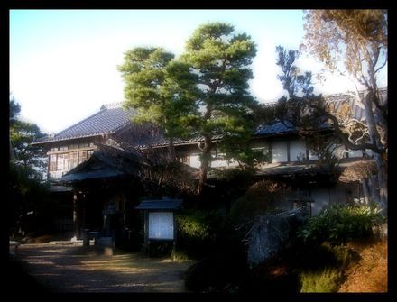 20070119 09.jpg