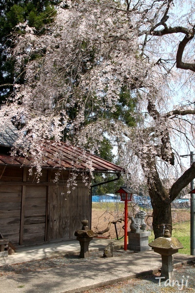 55 96 2013 貴船神社・貴船神社、宮城県仙台市泉区小角明神、画像.jpg