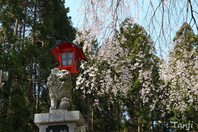56 96 2013 貴船神社・貴船神社、宮城県仙台市泉区小角明神、画像.jpg