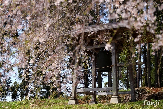 57 96 2013 貴船神社・貴船神社、宮城県仙台市泉区小角明神、画像.jpg