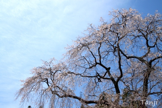 58 96 2013 貴船神社・貴船神社、宮城県仙台市泉区小角明神、画像.jpg